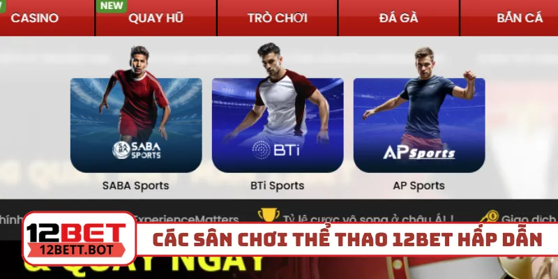 Các sân chơi thể thao 12Bet hấp dẫn cho newbie