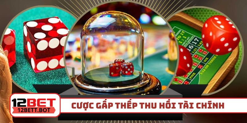 Cược gấp thếp thu hồi tài chính nhanh gọn