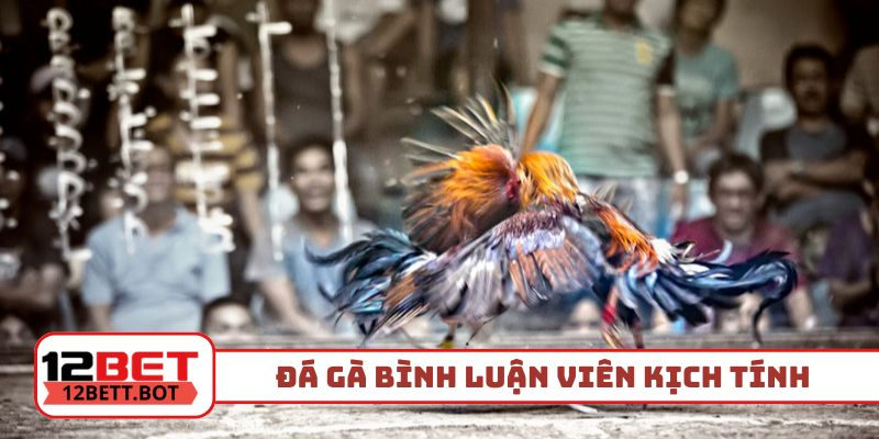 Đá gà bình luận viên cho trải nghiệm kịch tính