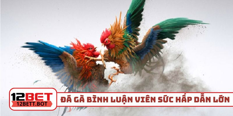 Đá gà bình luận viên có sức hấp dẫn lớn