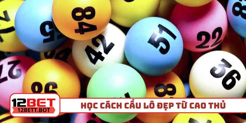 Học cách cầu lô đẹp hôm nay từ cao thủ