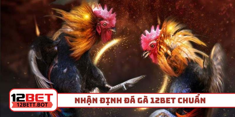 2 cách giúp nhận định đá gà 12Bet chuẩn