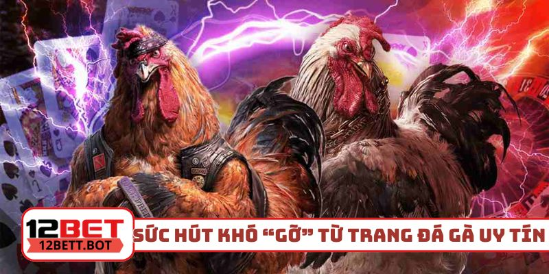 3 sức hút khó “gỡ” từ trang đá gà uy tín