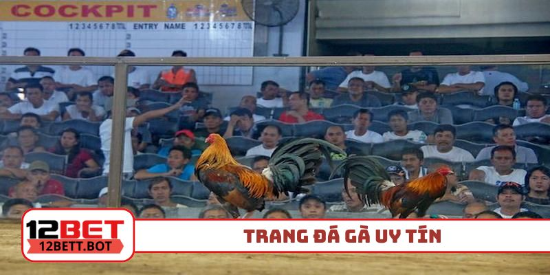 trang đá gà uy tín