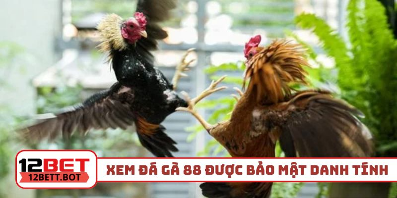 Xem đá gà 88 được bảo mật danh tính